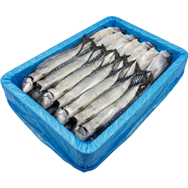 업소용·대용량