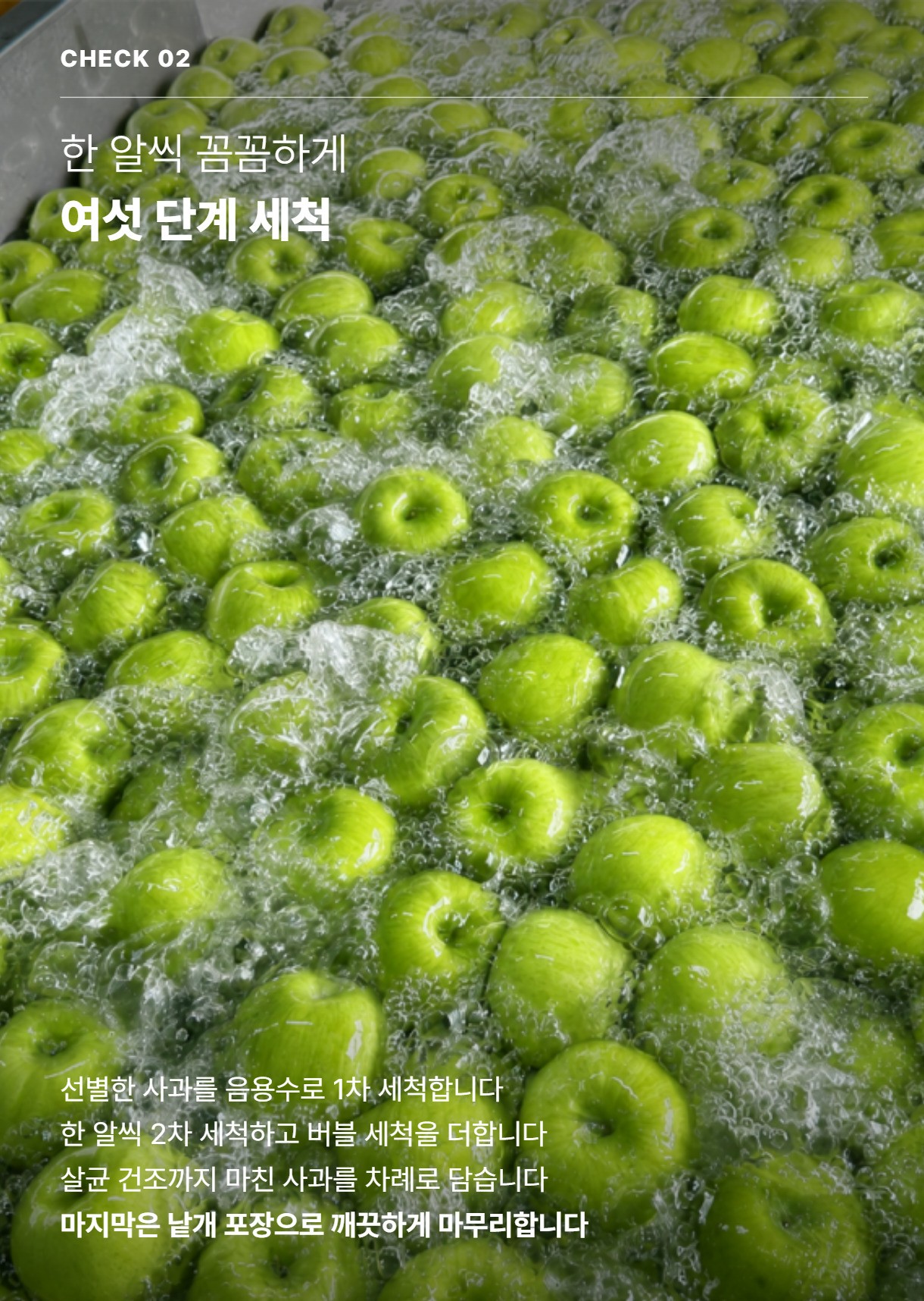 세척 아오리 04