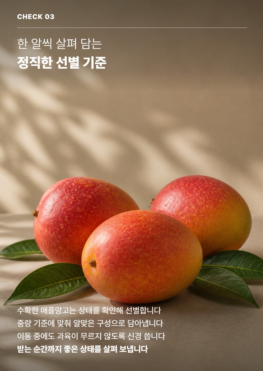 애플망고 05