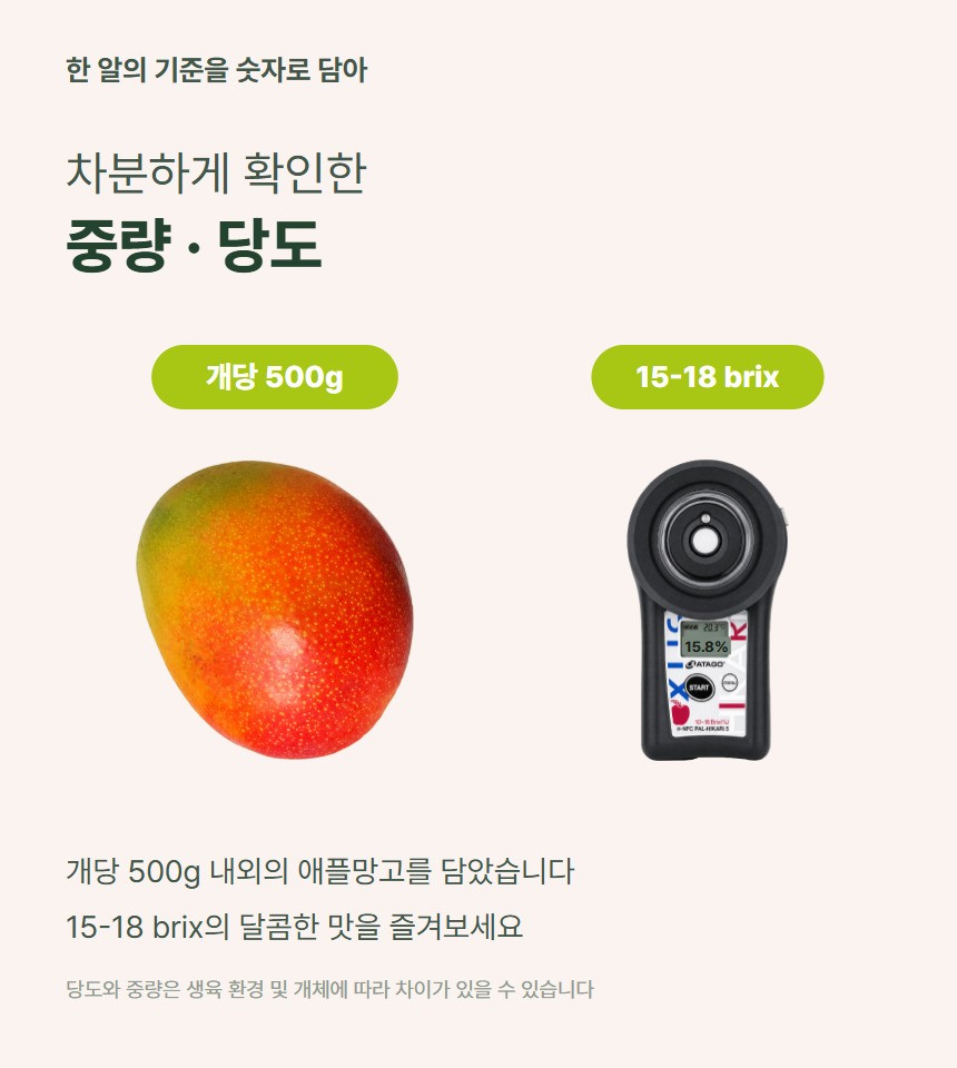 애플망고 06