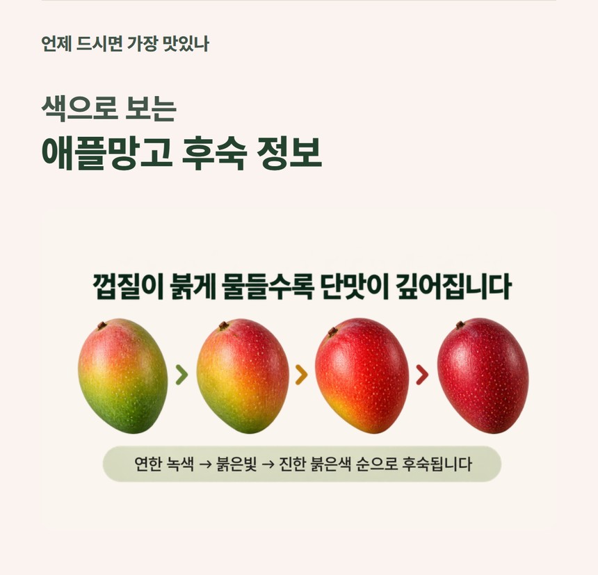 구매 시 확인