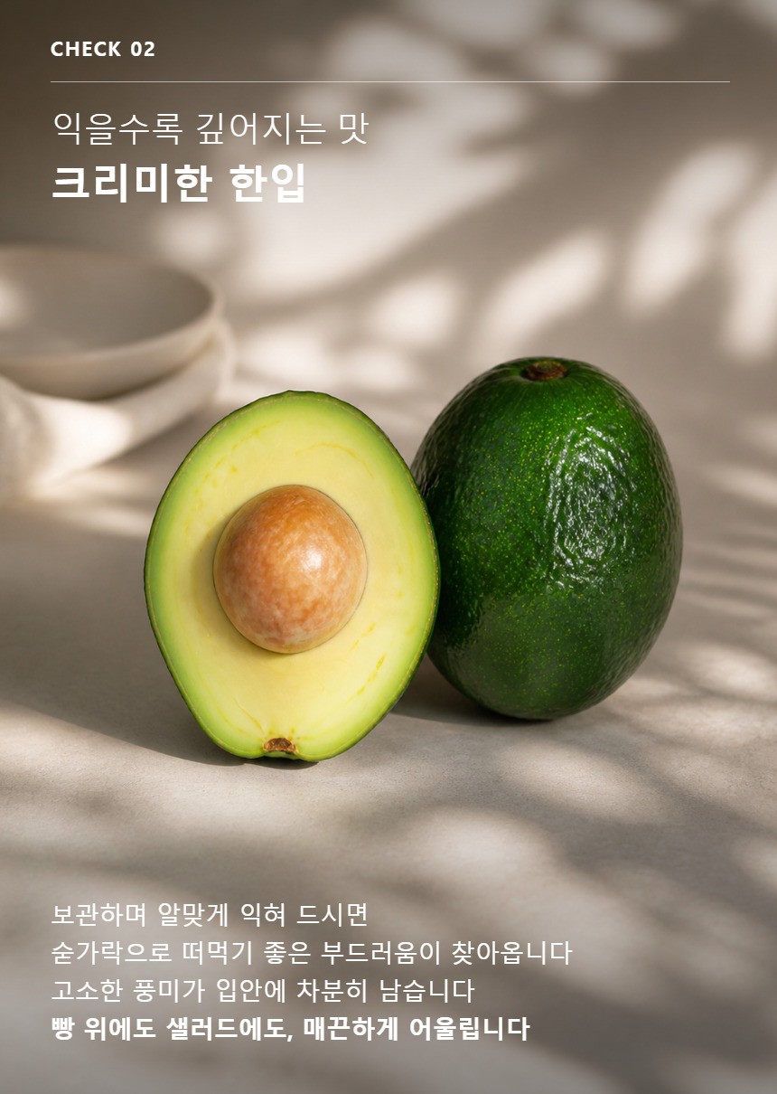아보카도 04