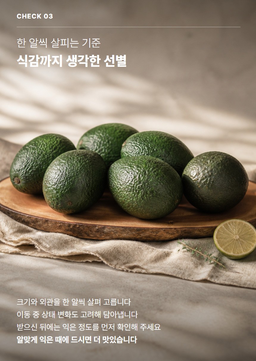 아보카도 05