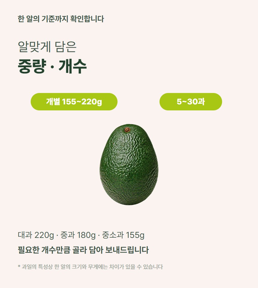 아보카도 06