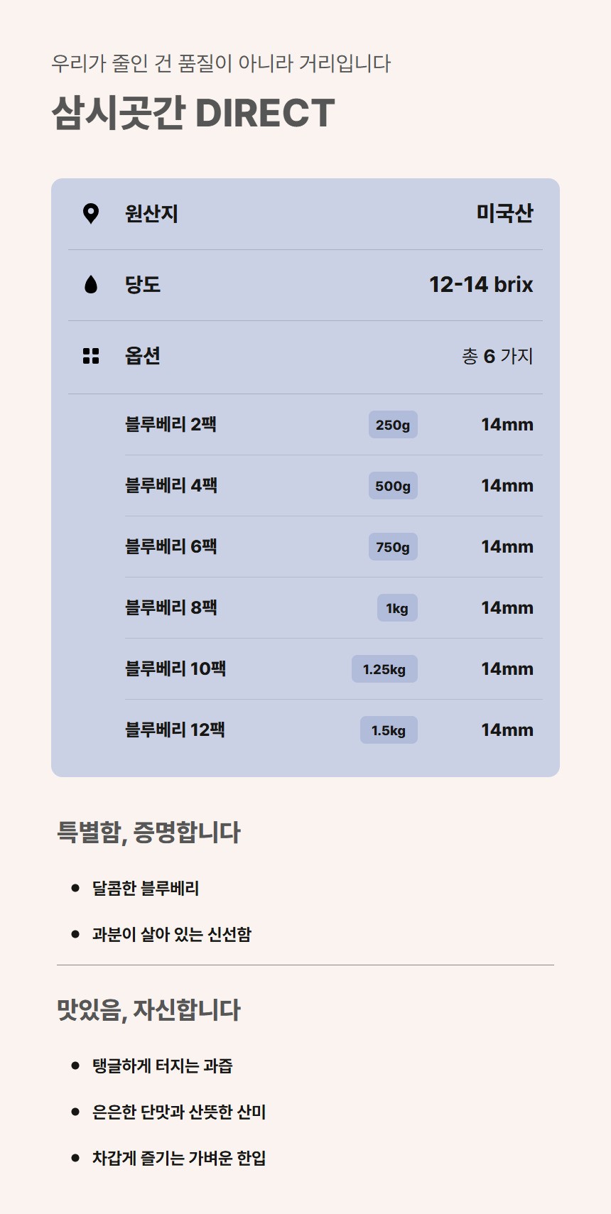 블루베리 02