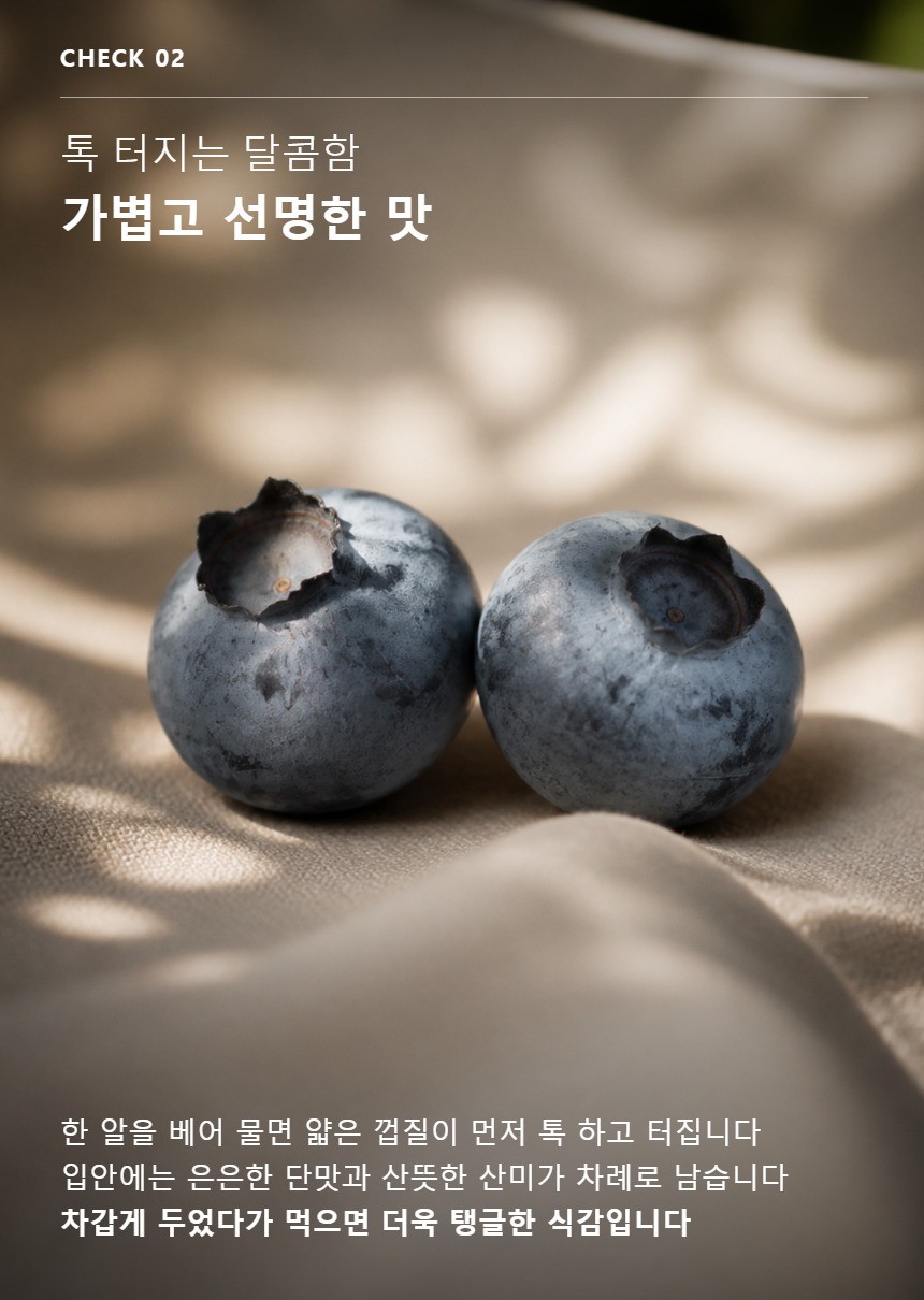 블루베리 04