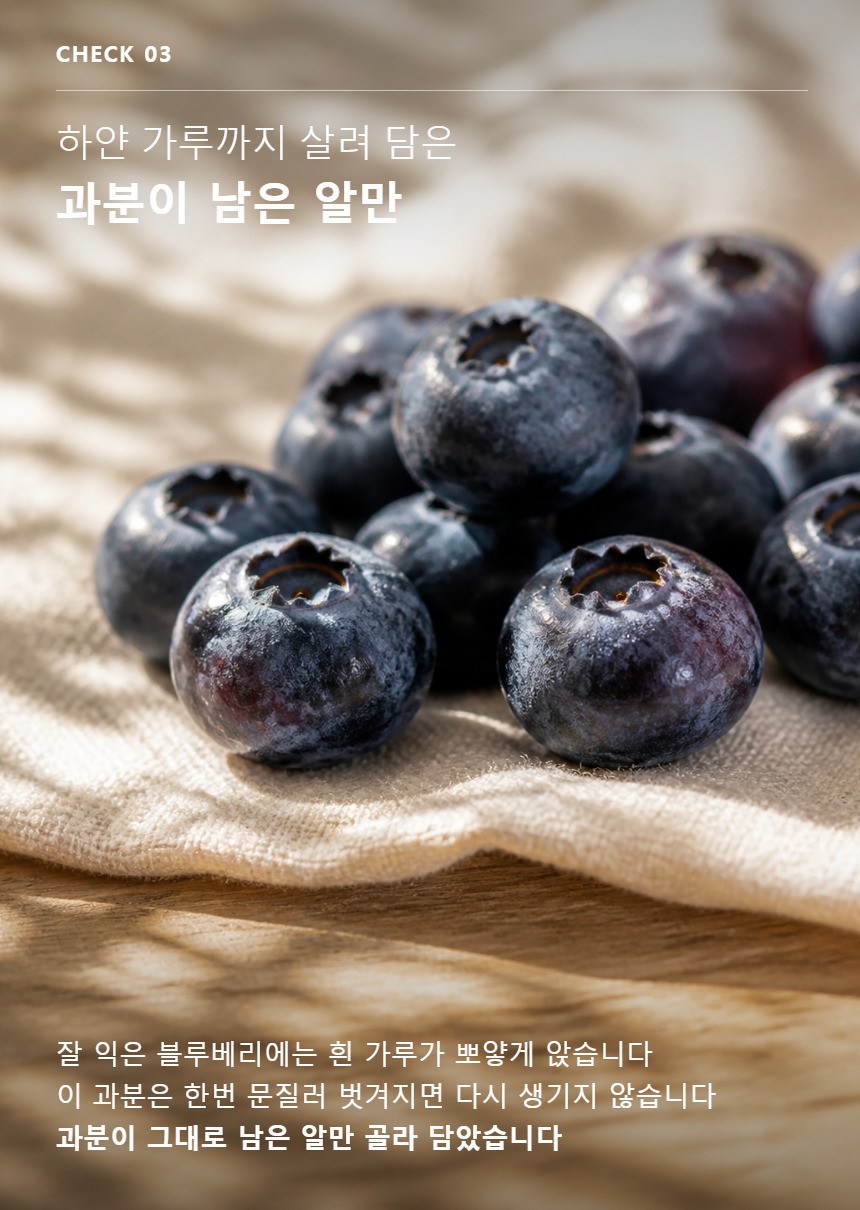 블루베리 05