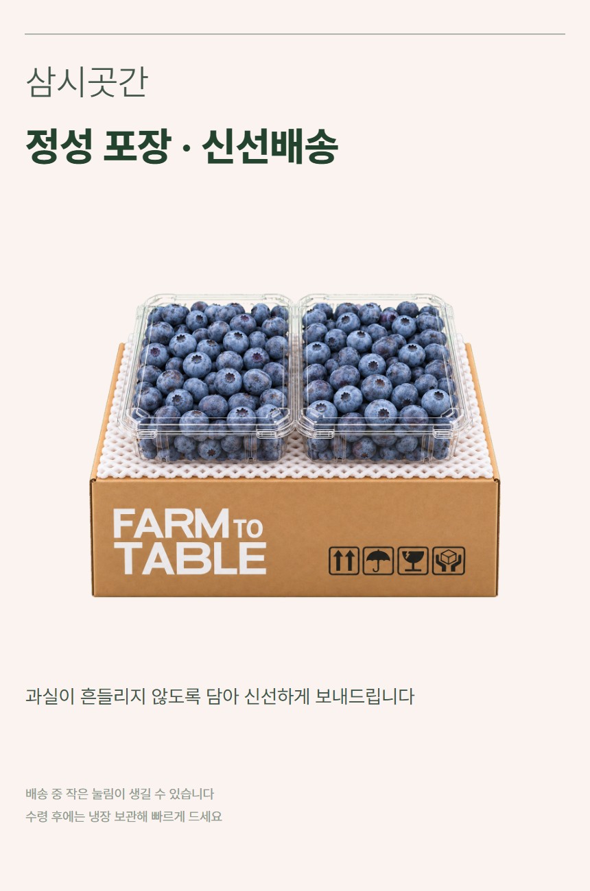 블루베리 07