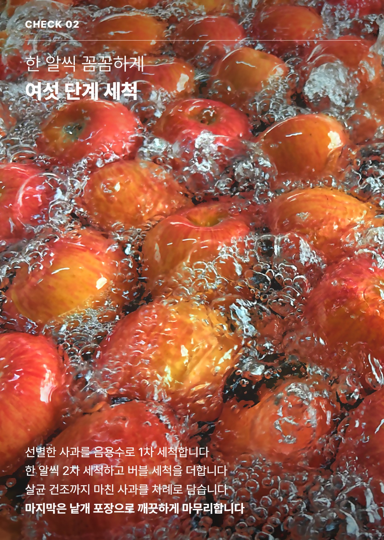 세척사과정품 04