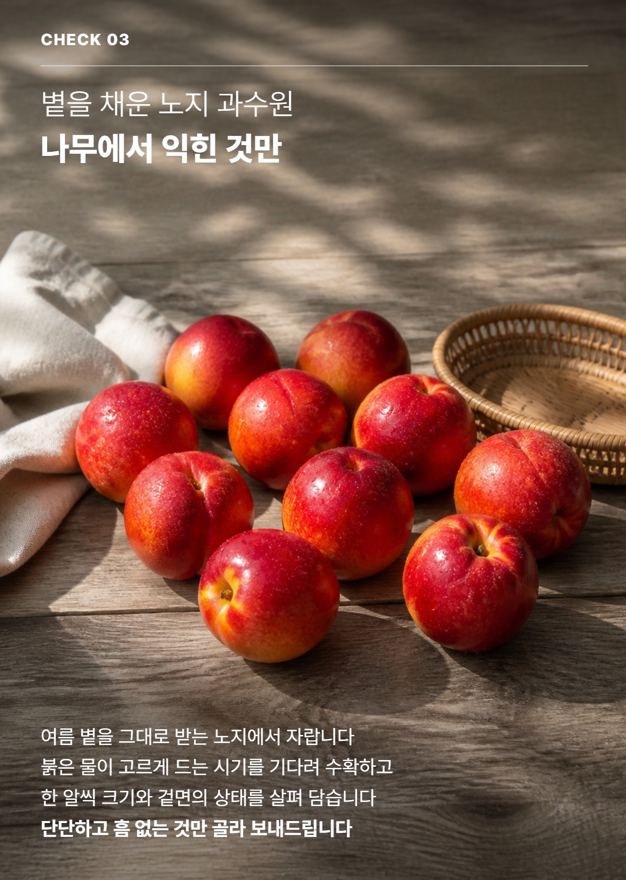 천도복숭아 05