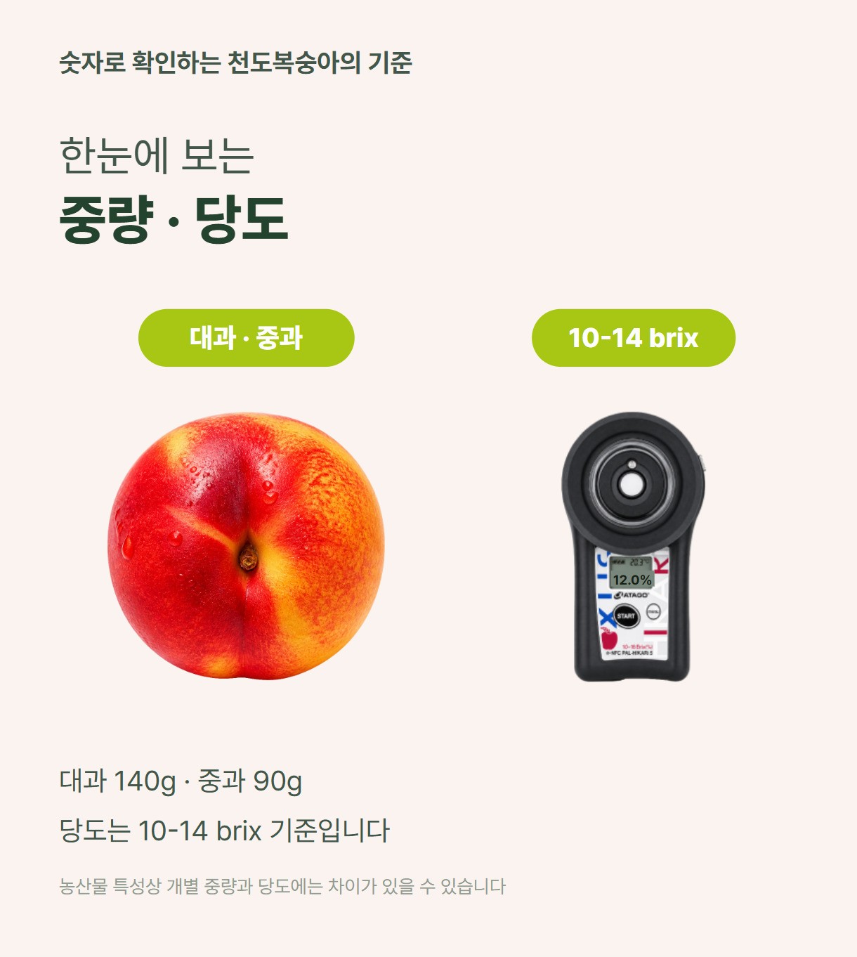 천도복숭아 06