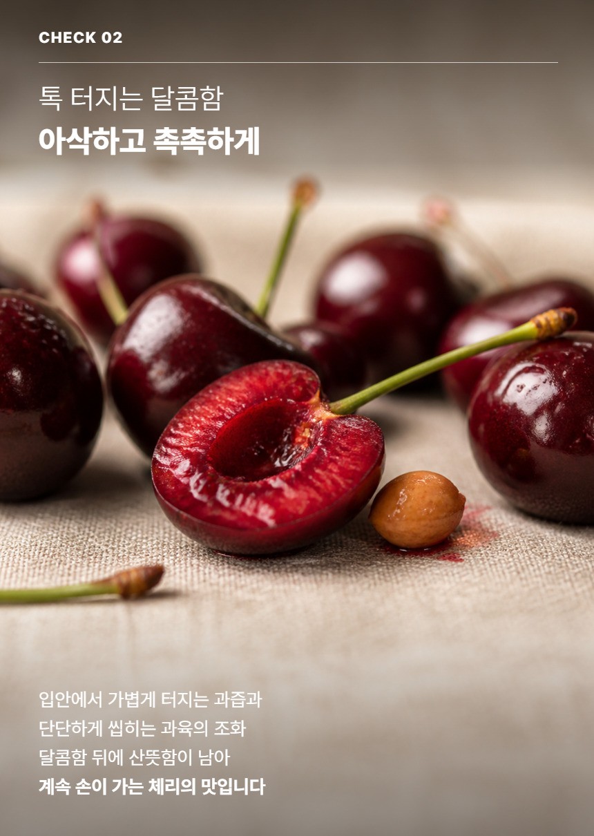 체리 04