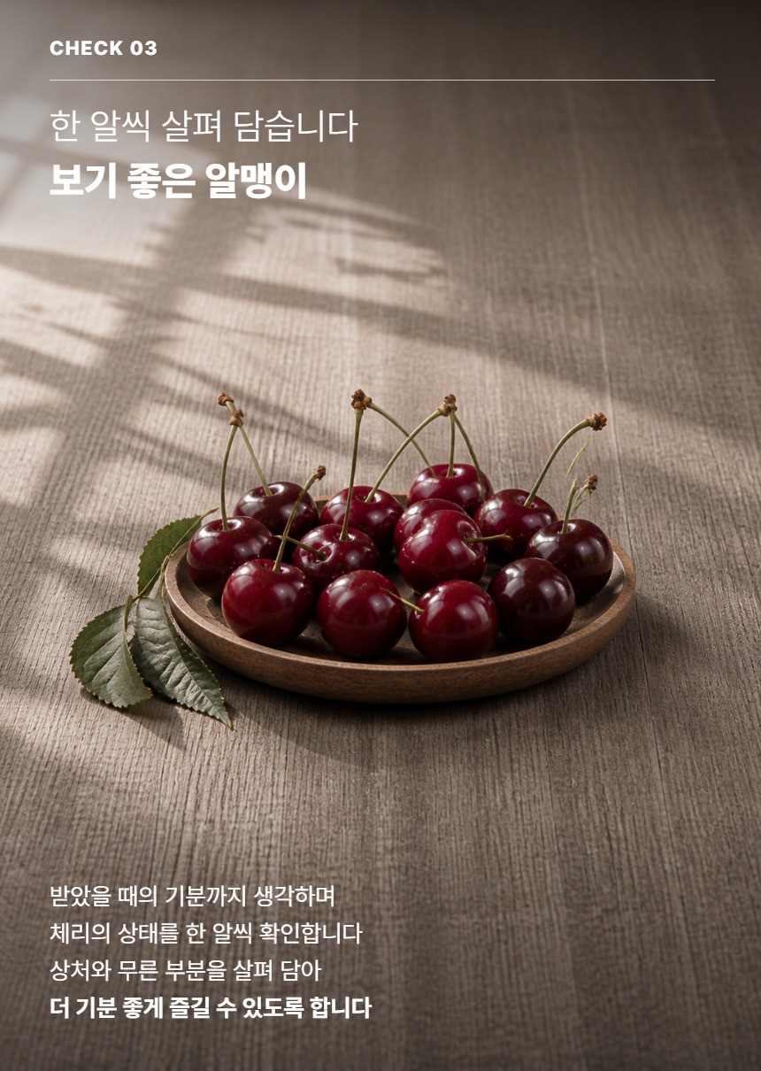체리 05