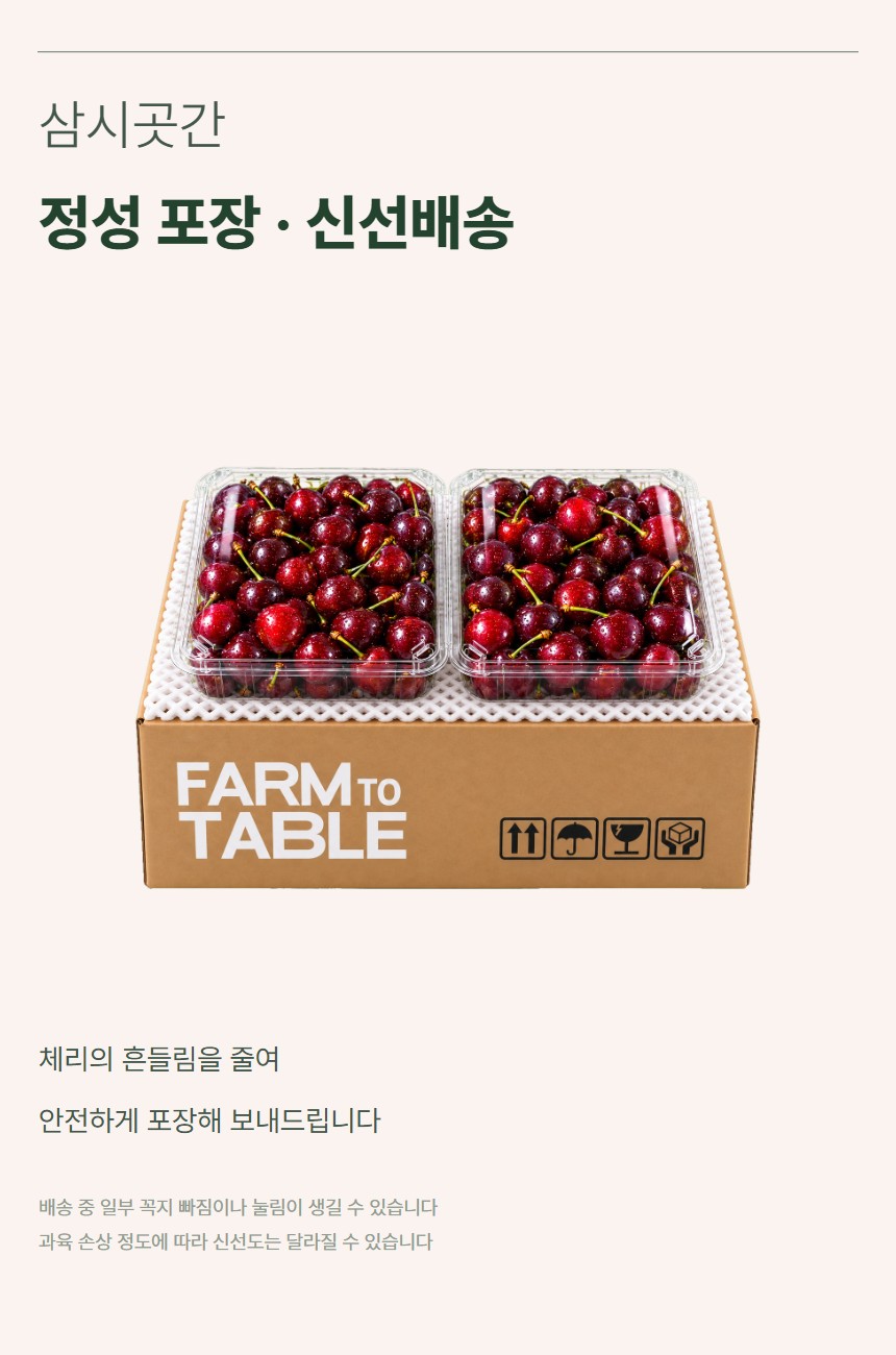 체리 07