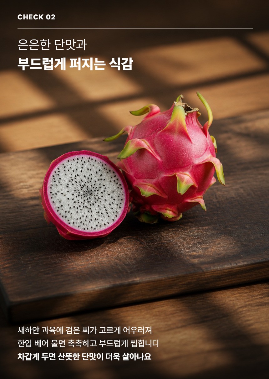 레드 용과 04