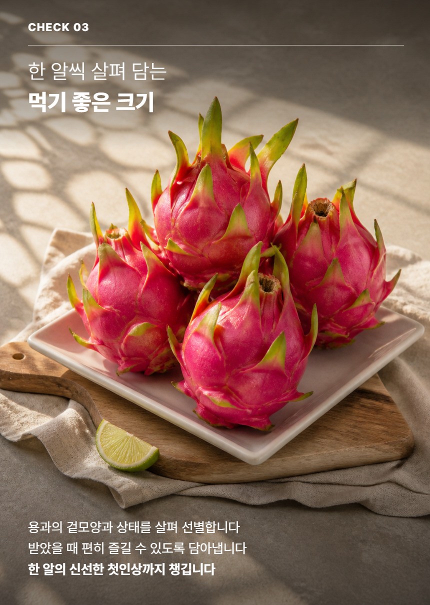 레드 용과 05