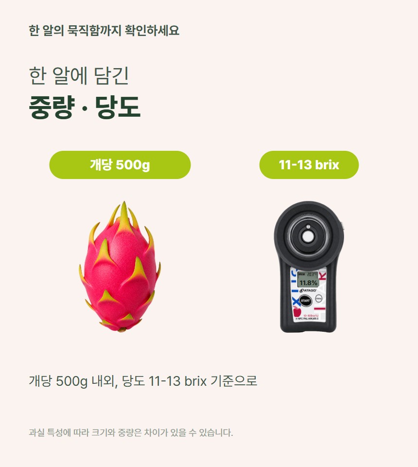 레드 용과 06