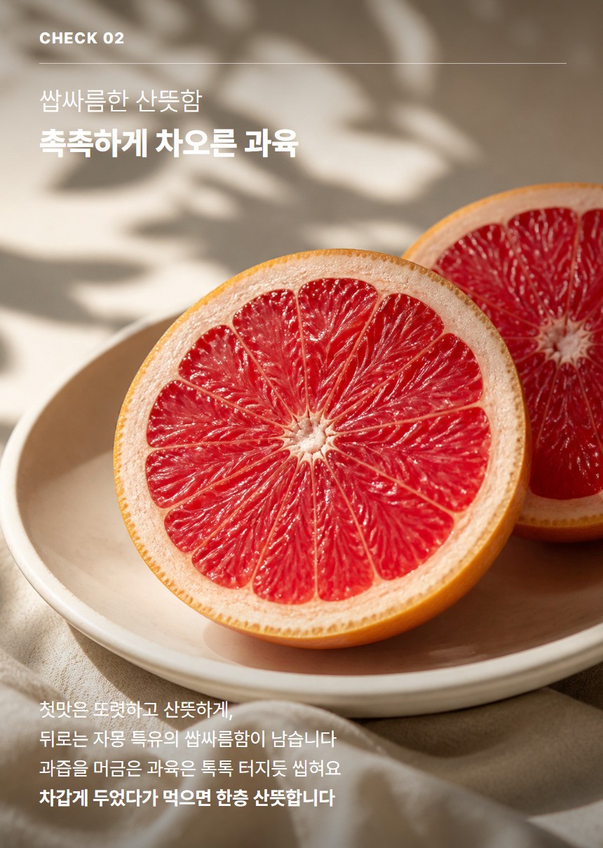레드자몽 04