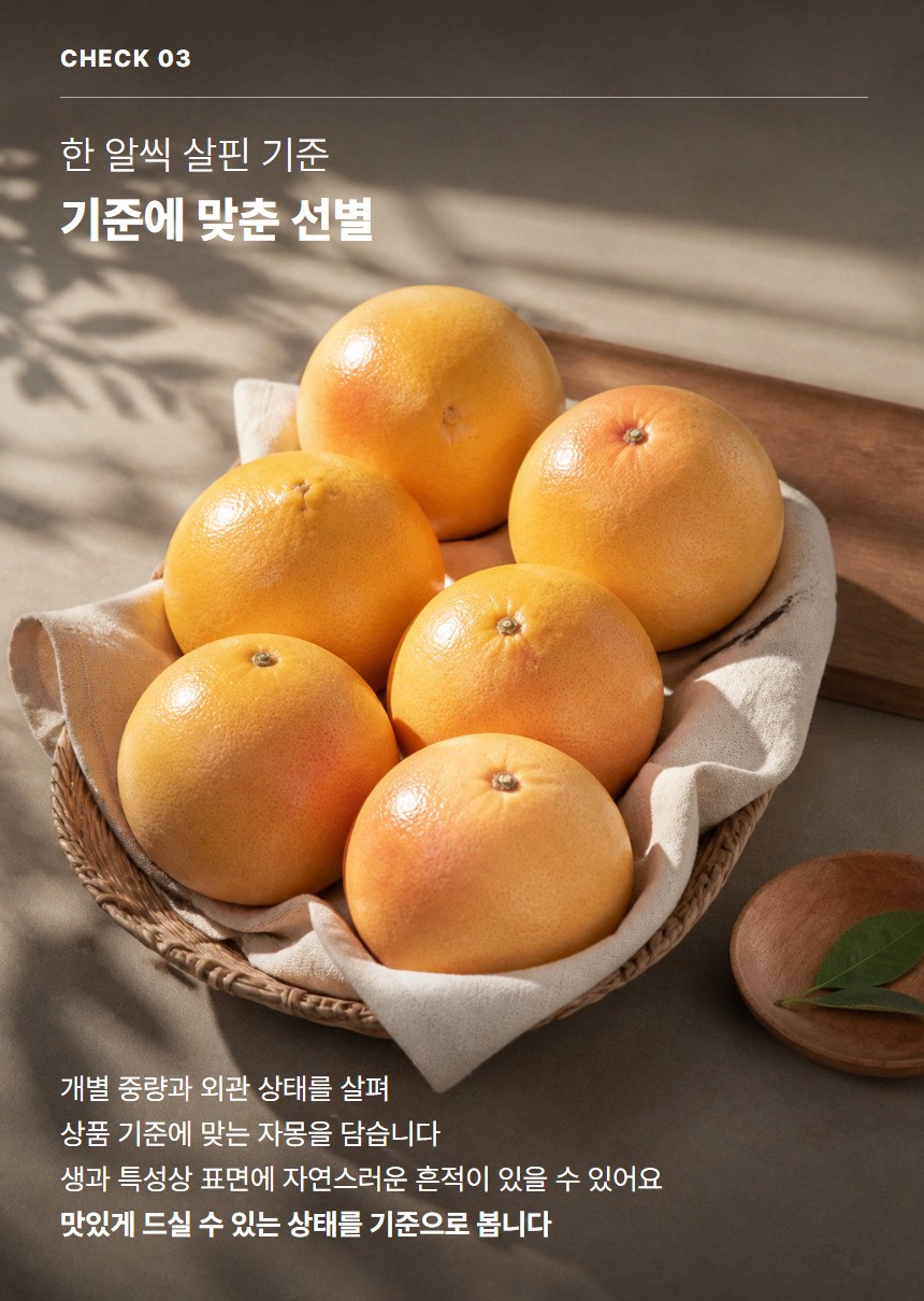 레드자몽 05