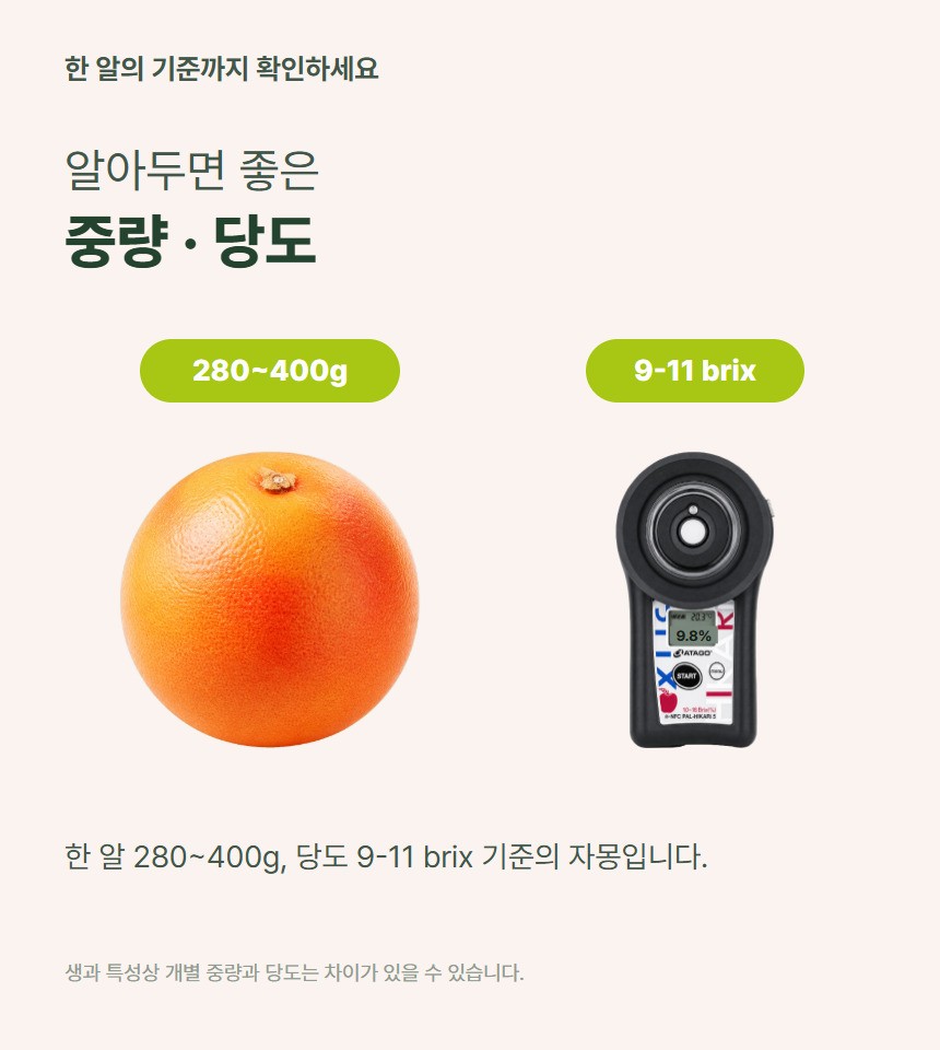 레드자몽 06