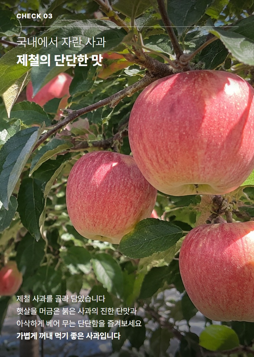세척사과정품 05