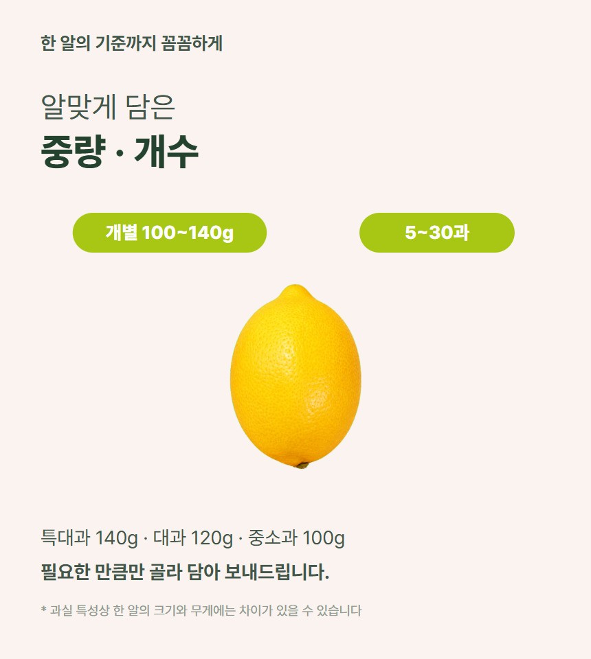 레몬 06