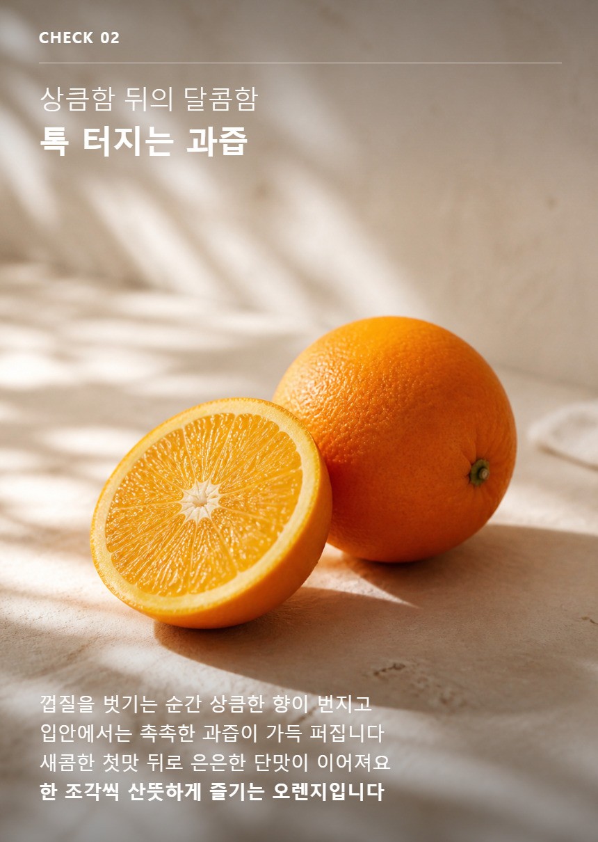 오렌지 04