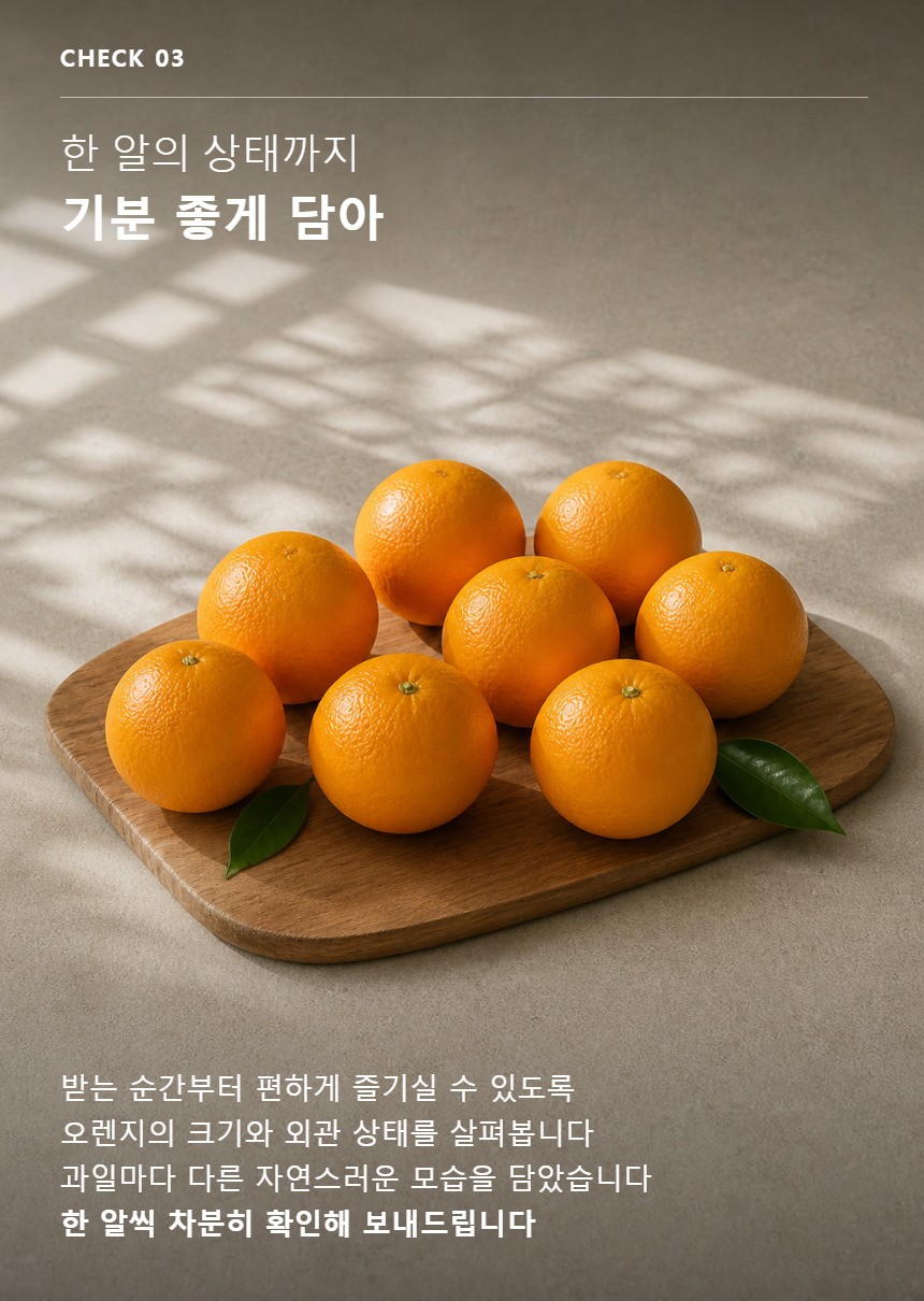 오렌지 05