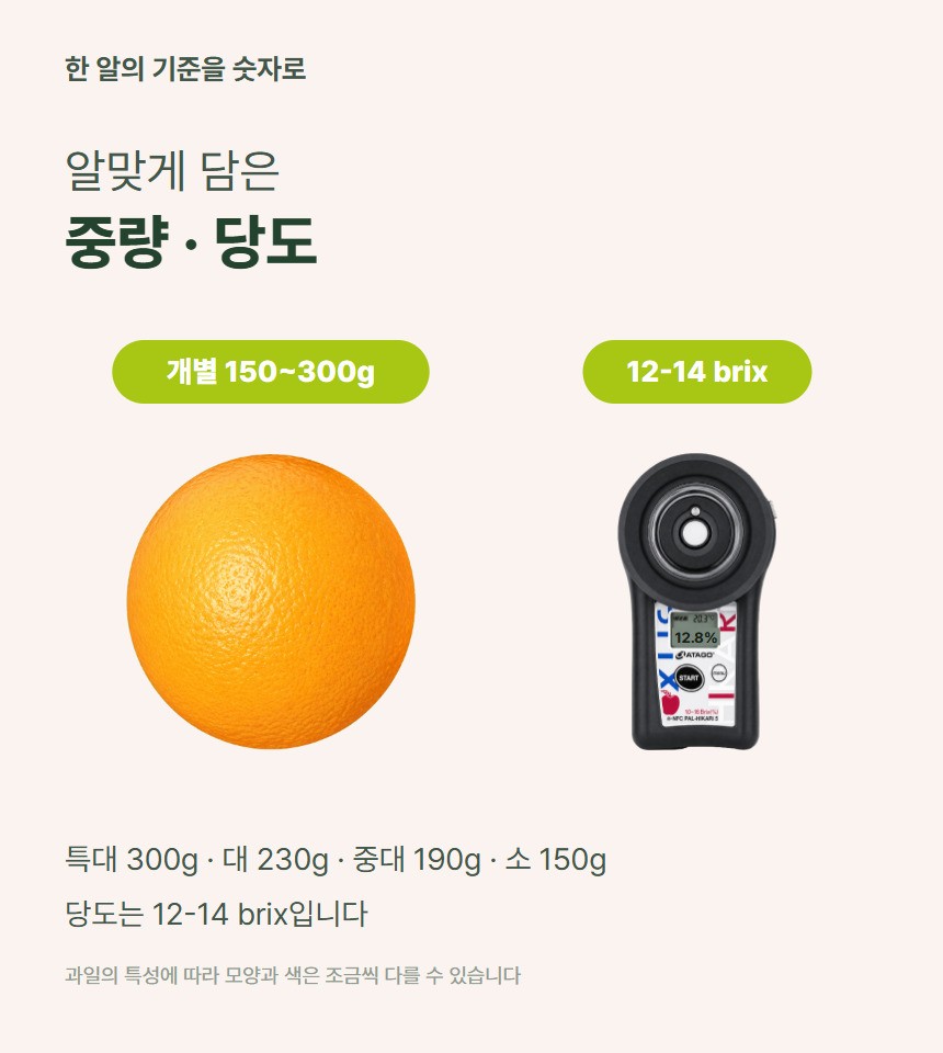 오렌지 06