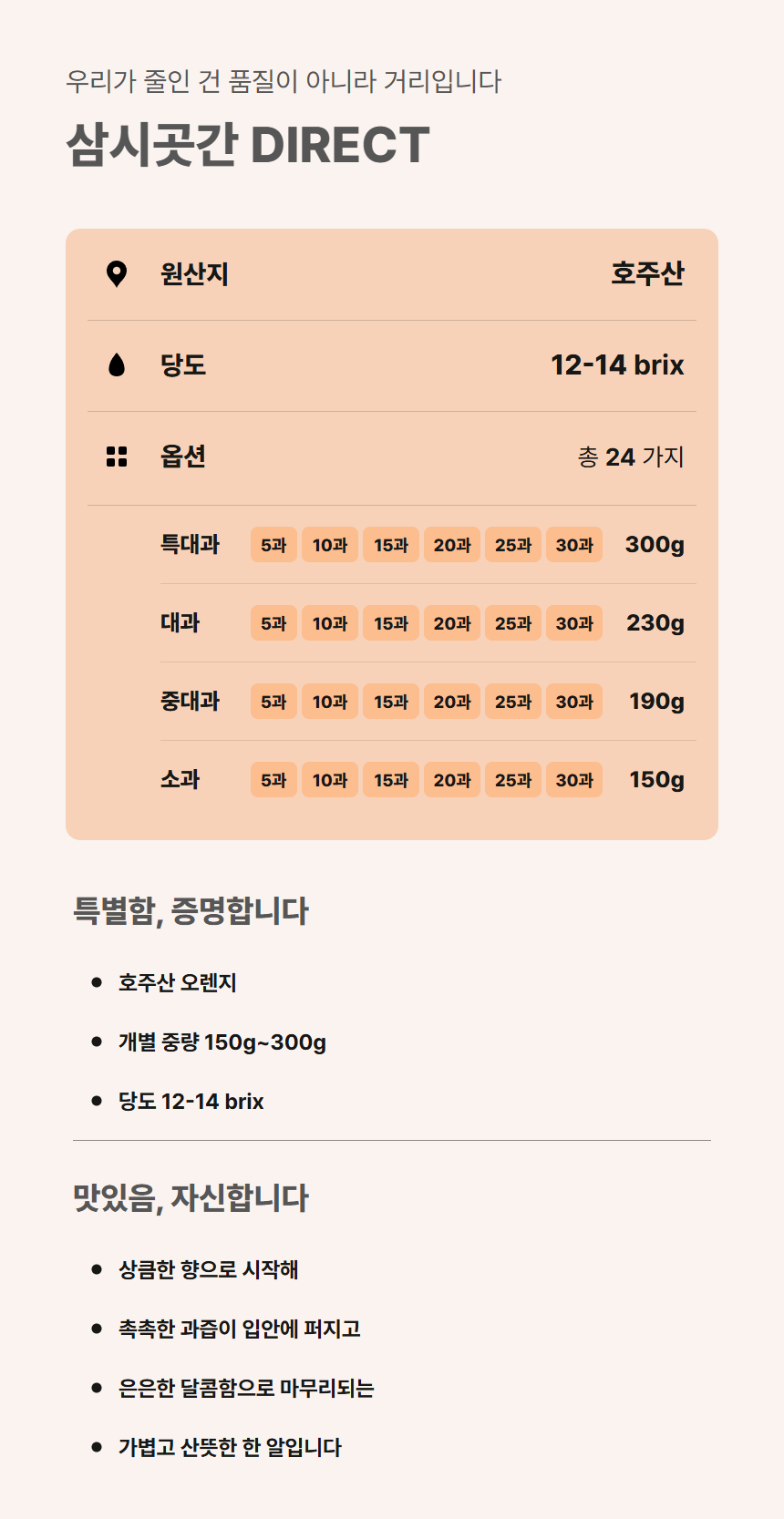 오렌지 02