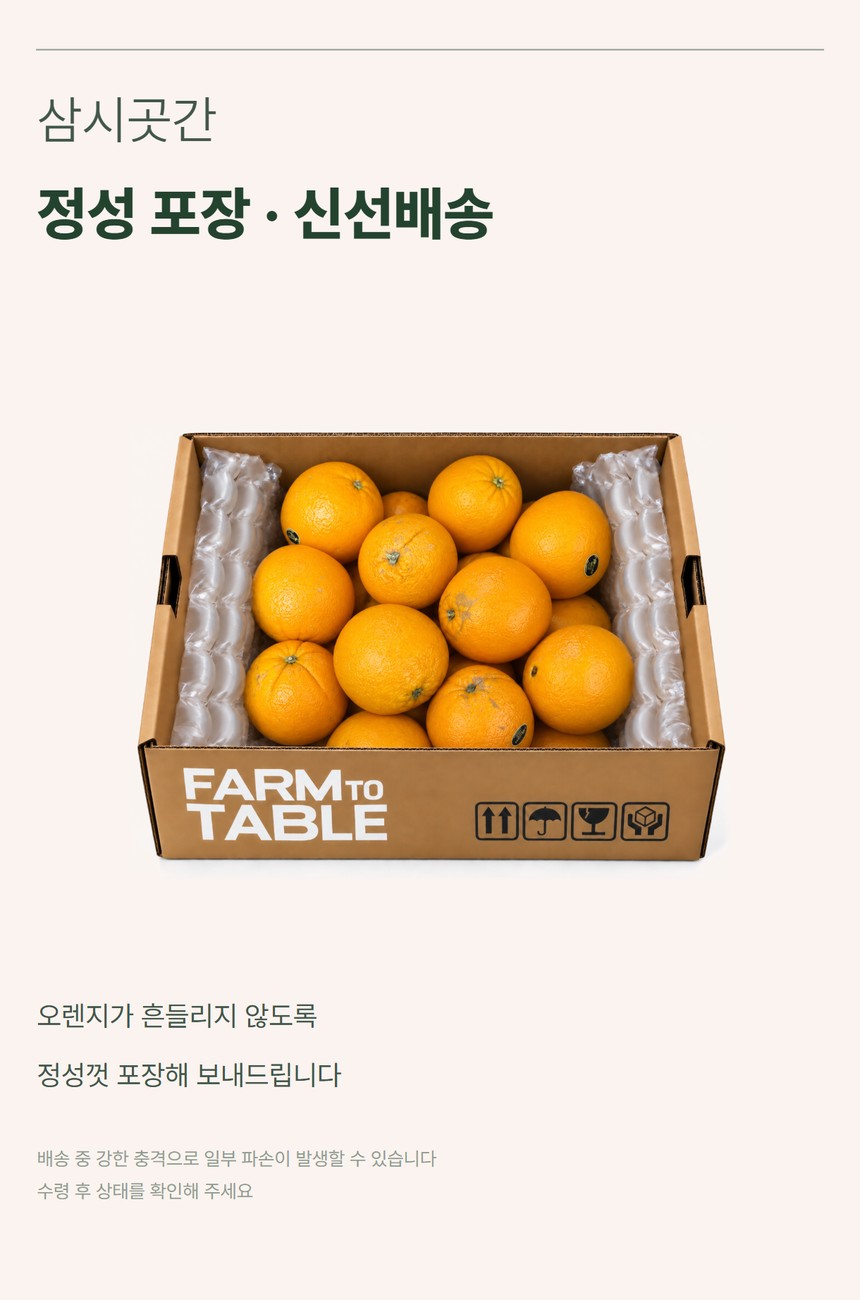 오렌지 07