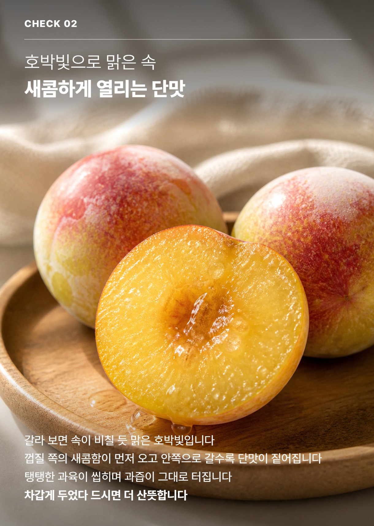 자두 04