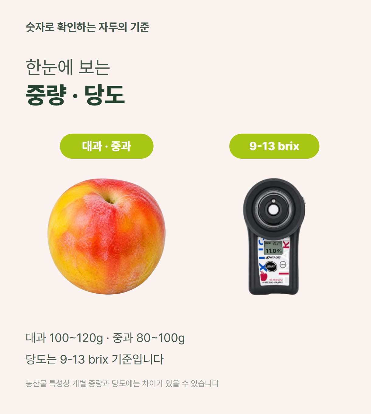 자두 06