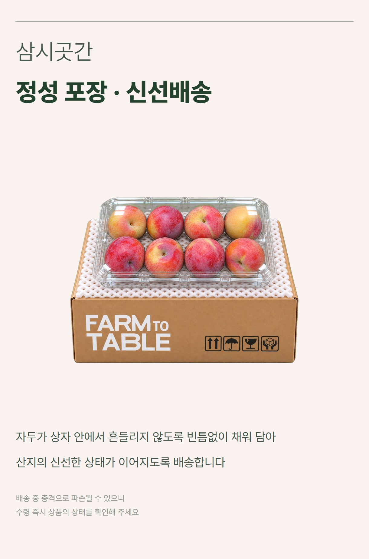 자두 07