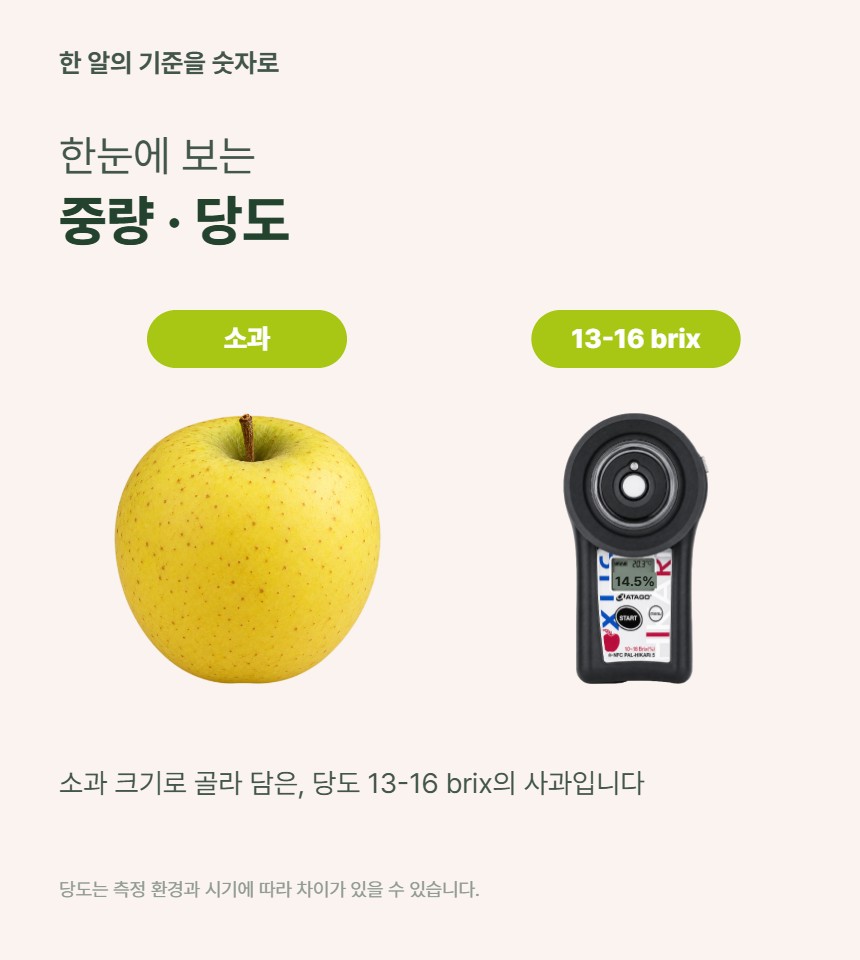 시나노골드 06