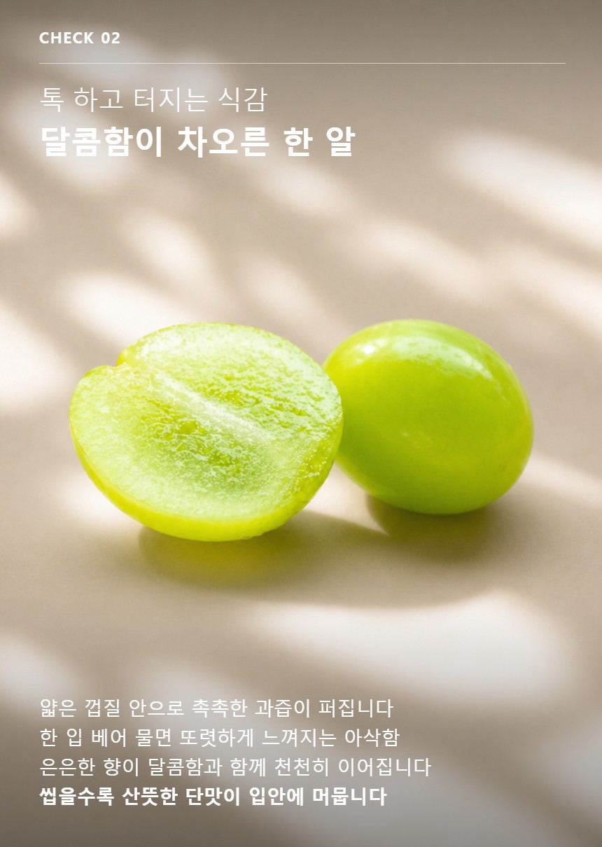 샤인머스켓 04
