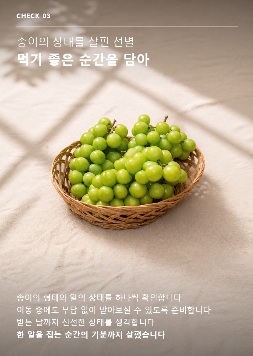샤인머스켓 05