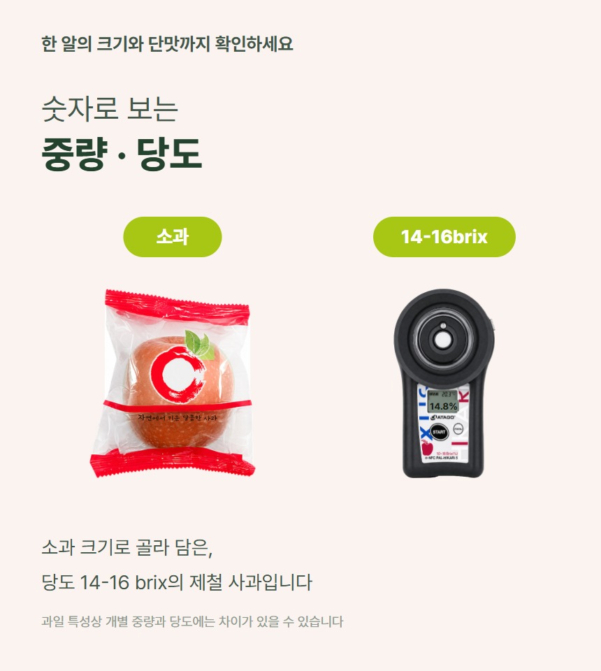 세척사과 06