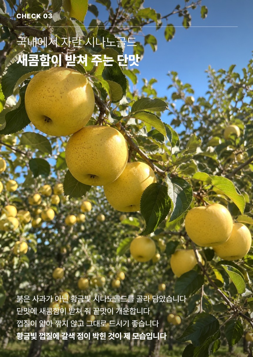 세척시나노골드실속 05