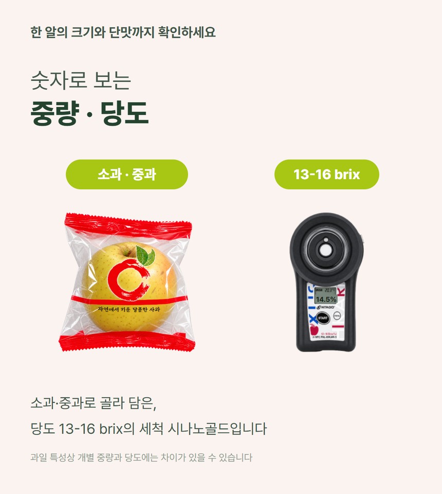 세척시나노골드실속 06