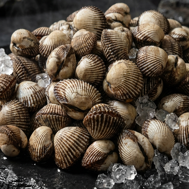 전남 벌교 국내산 활 새꼬막 (당일채취/1차 세척 완료)