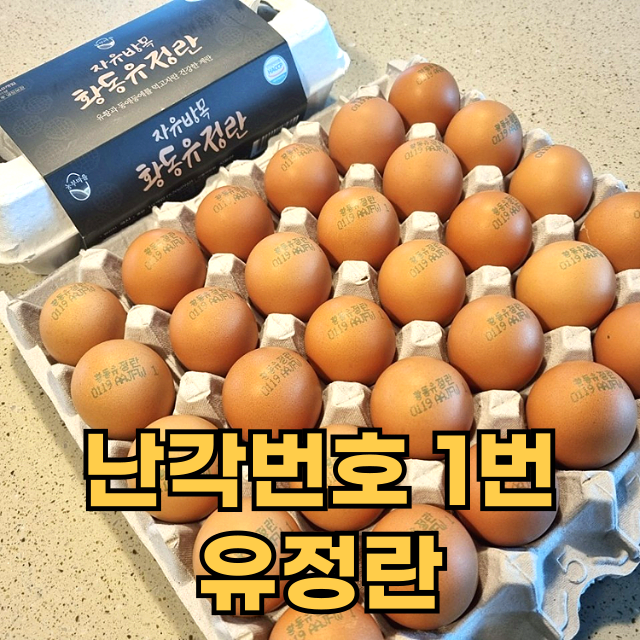 제목을입력해주세요_042.png