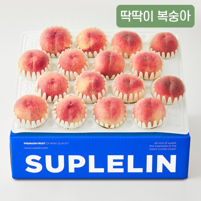 [딱복VS물복] 나는 딱복파, 딱딱한 복숭아 총 4kg이상 (15-18입)