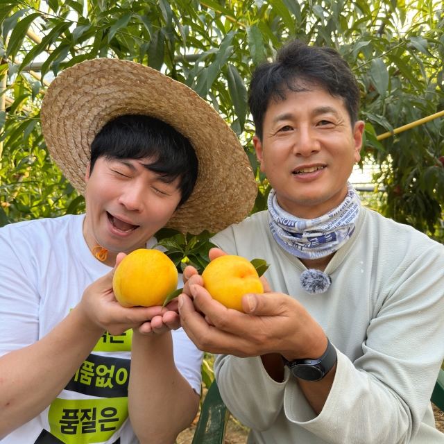 [신품종] 박준우 농부 황금복숭아