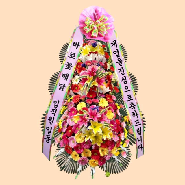 축하화환 최고급형
