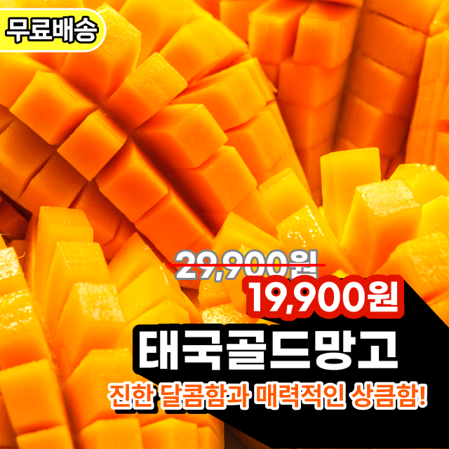[천상계망고🔥] 프리미엄 초고당도 골드망고
