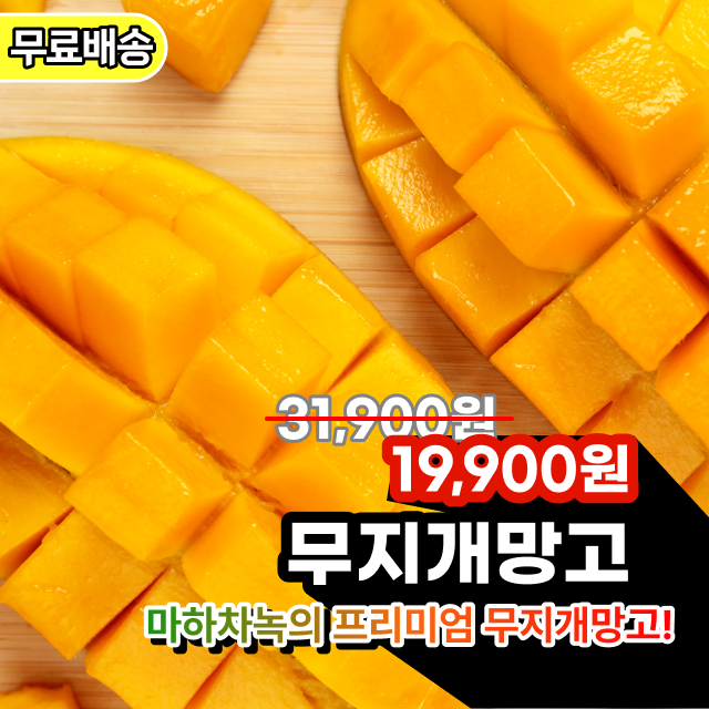 [인생망고💕] 마하차녹 고당도 태국 무지개망고