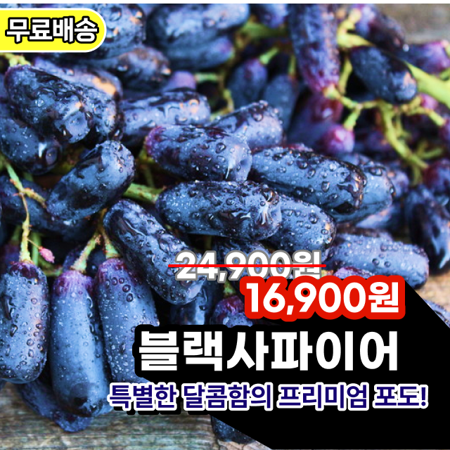 [당도폭발💕] 고당도 블랙사파이어포도 가지포도