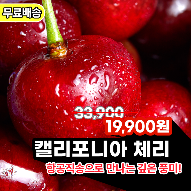 [✈️항공직송] 품질선별 캘리포니아 생체리