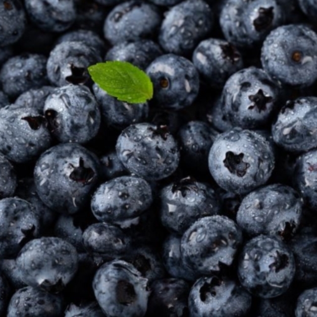 매일 하루를 상큼하게! 생 블루베리